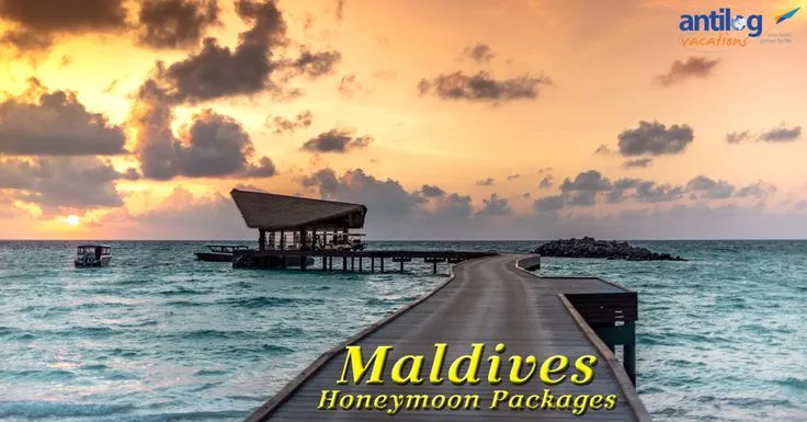 /img/3143-maldives-sunset-dinner.webp