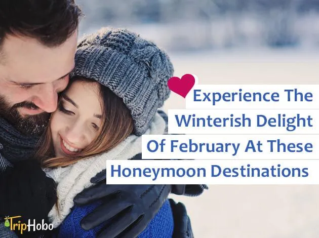 3153 european honeymoon