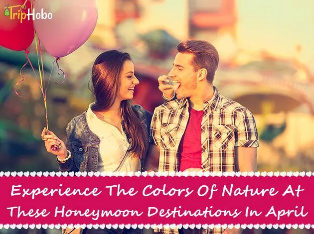 3153 tropical honeymoon