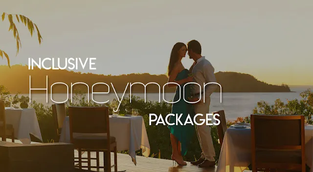 3159 planning honeymoon